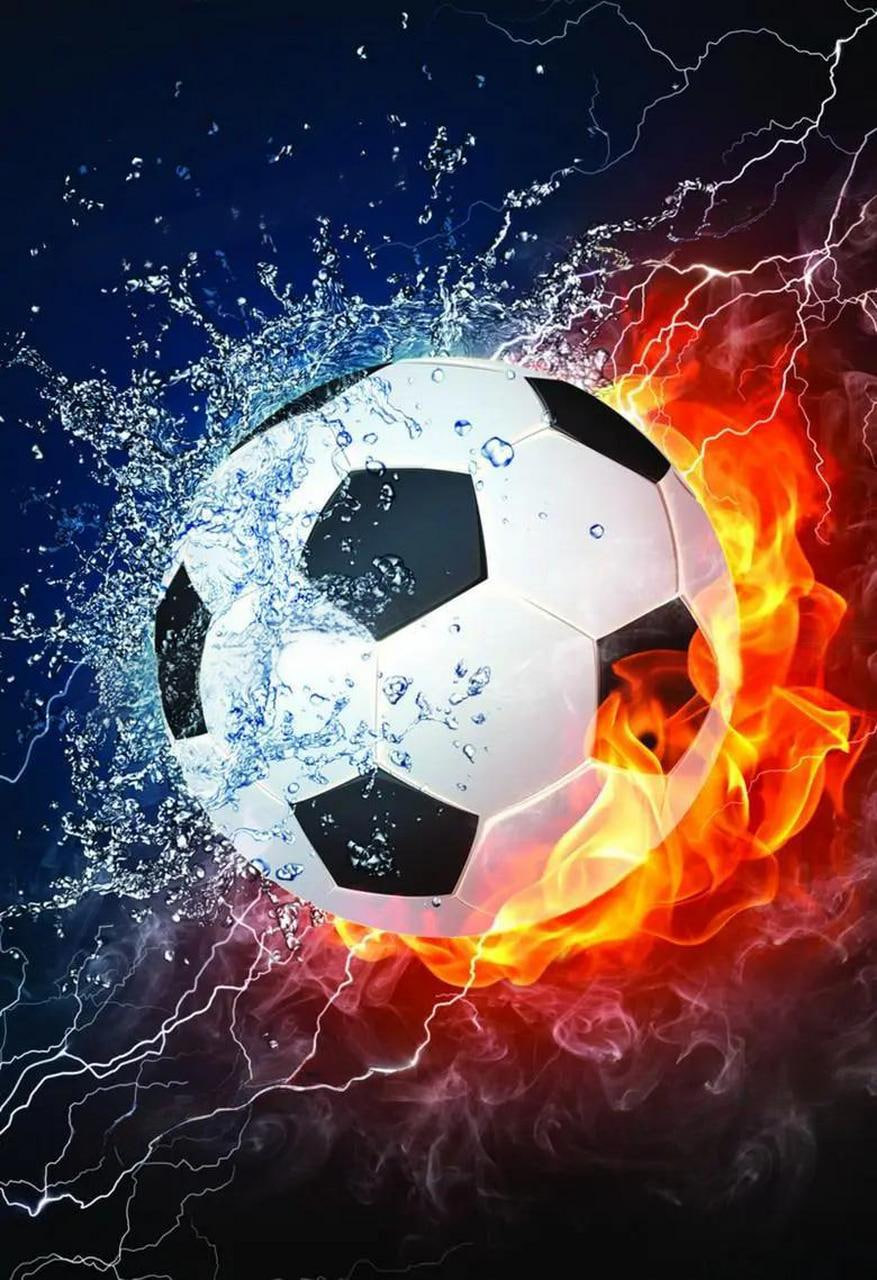 用户王女士头像