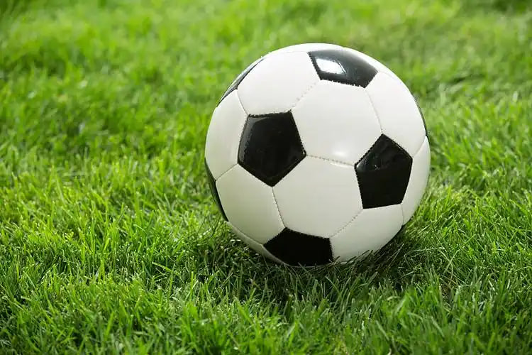 球探网比分手机旧版篮球使用流程示意图